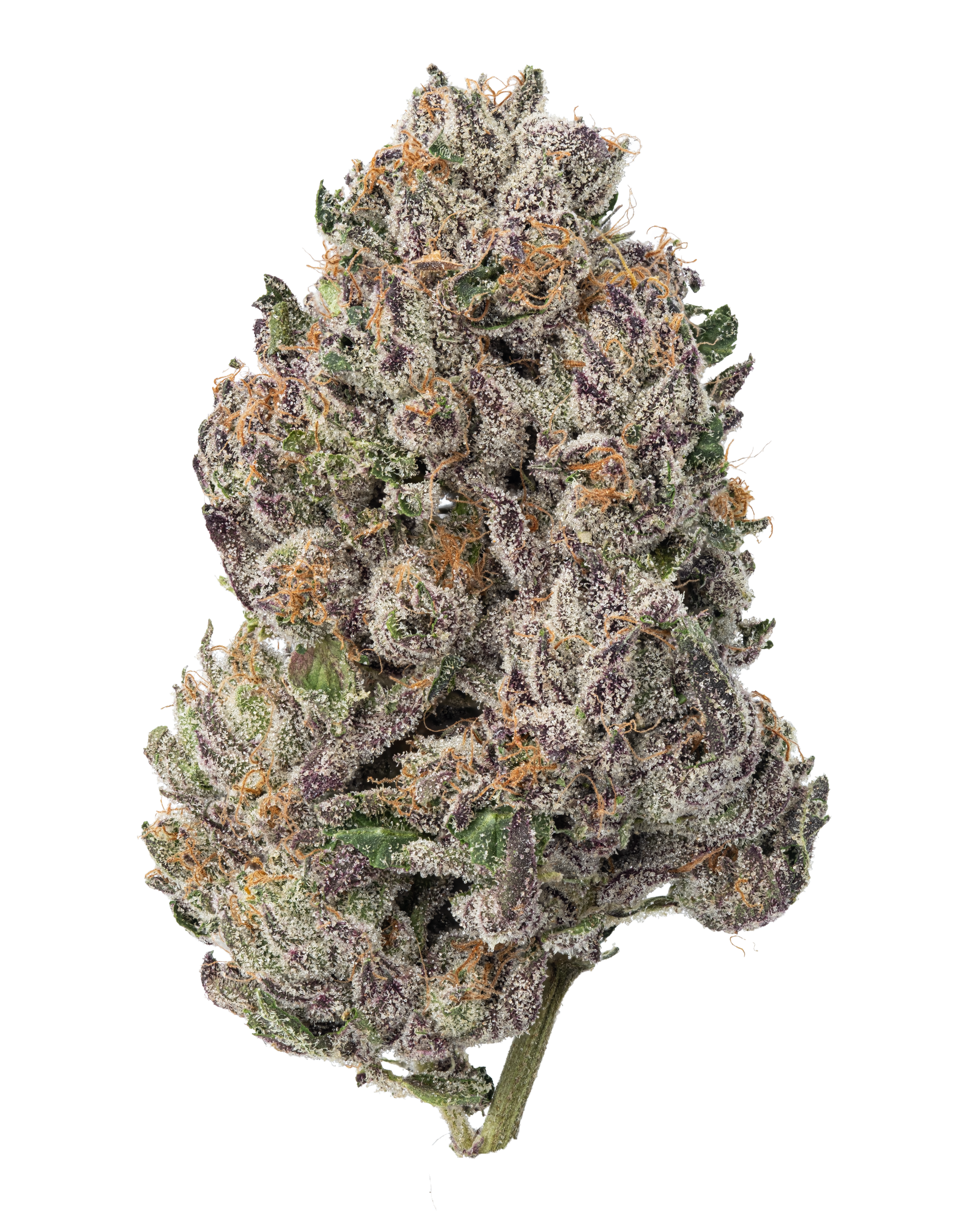 Gelato Cake - 3.5 g
