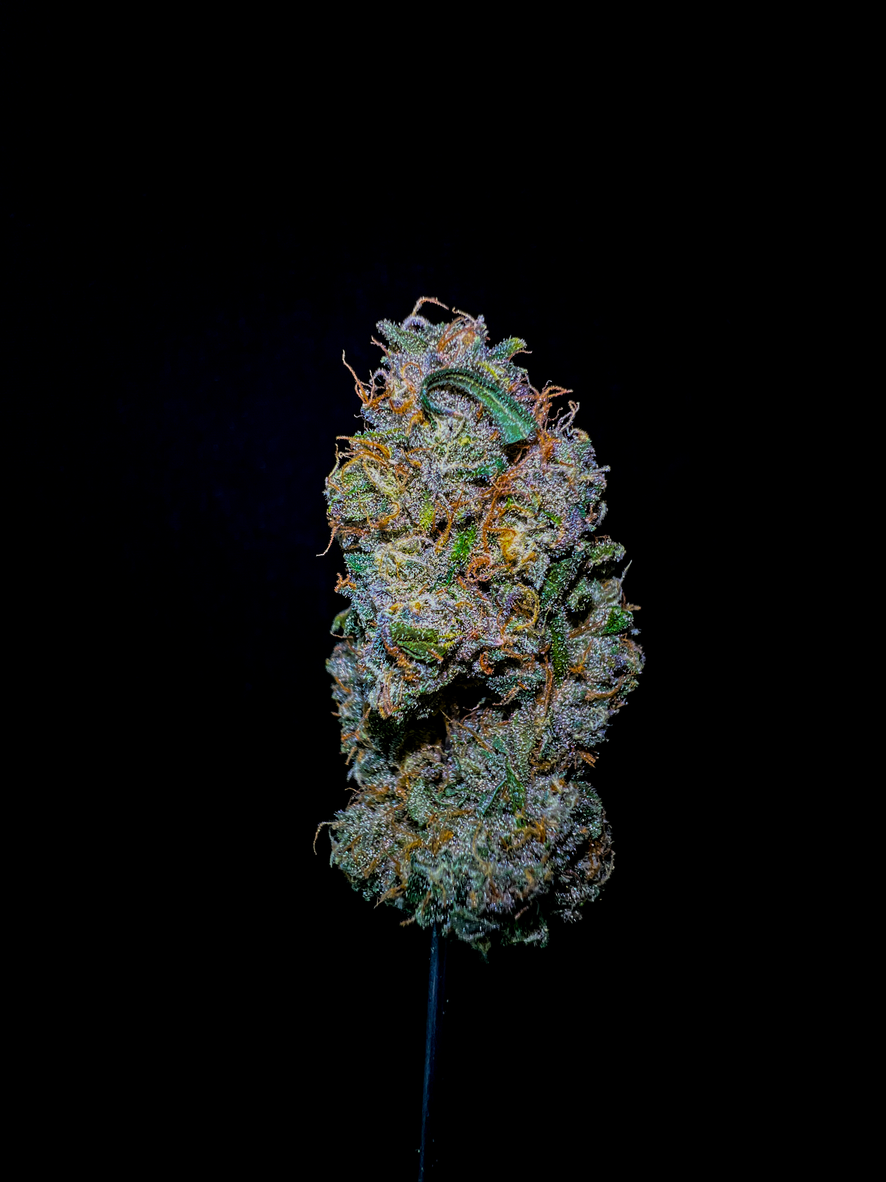 Candy Fumez - 3.5 g