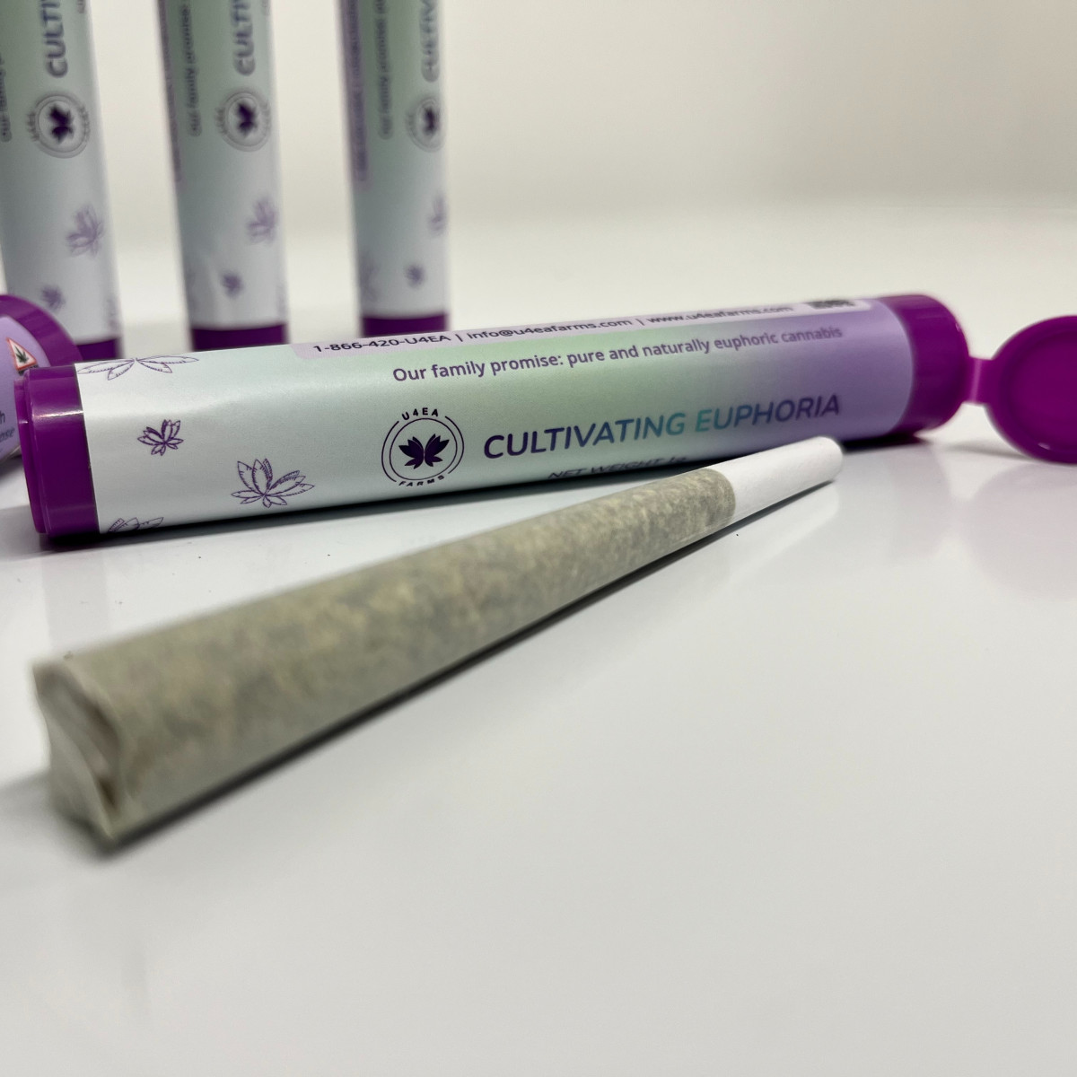 Papaya Splash | Preroll - 1 g