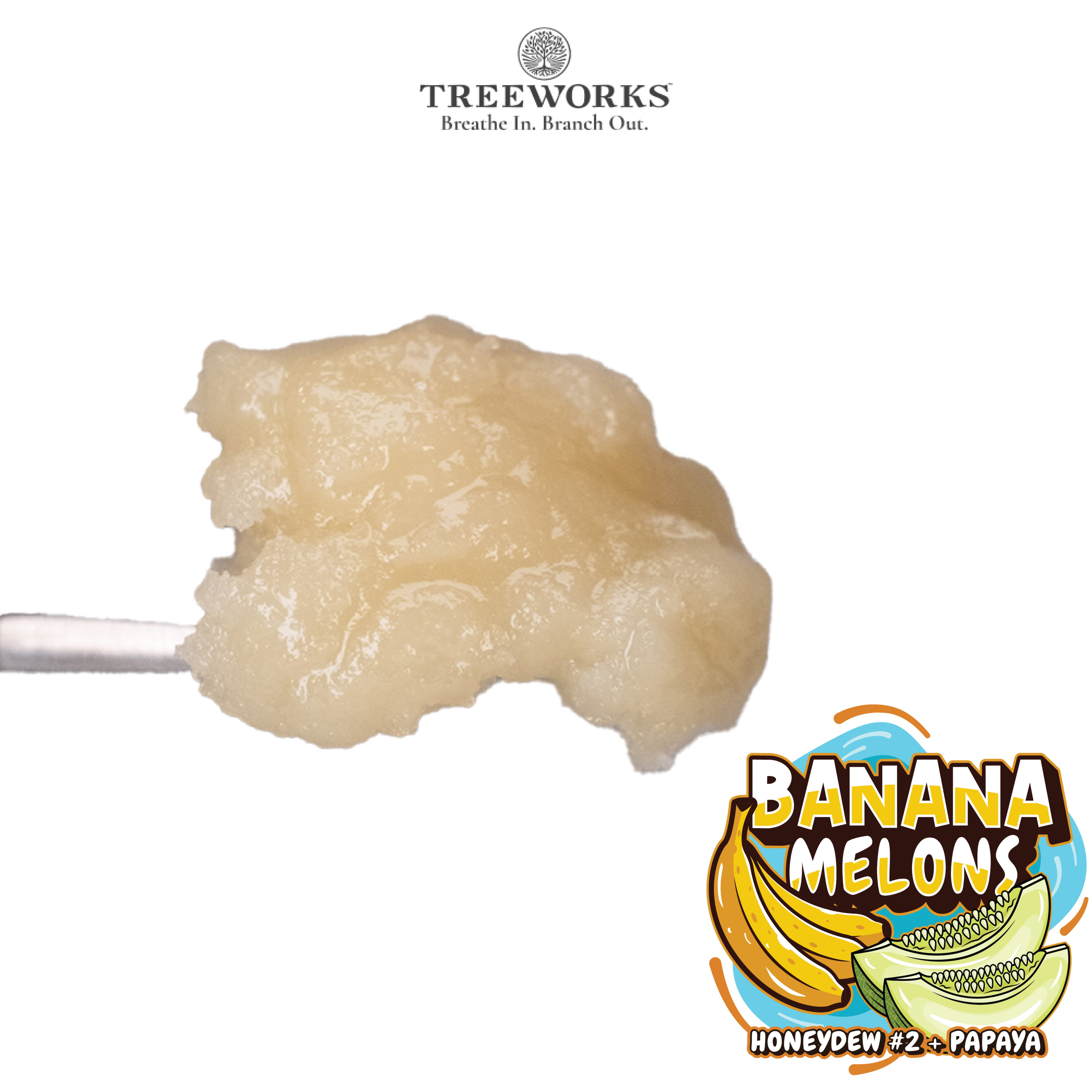 Banana Melons | Live Rosin Cold Cure - 1 g