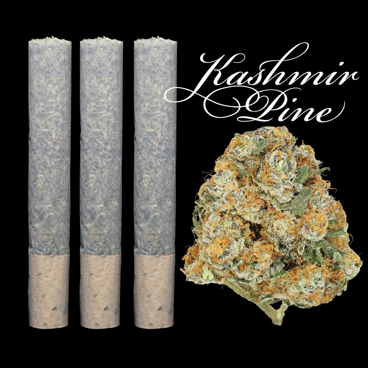 Kashmir Pine | Prerolls - 3 g - 3 Pack