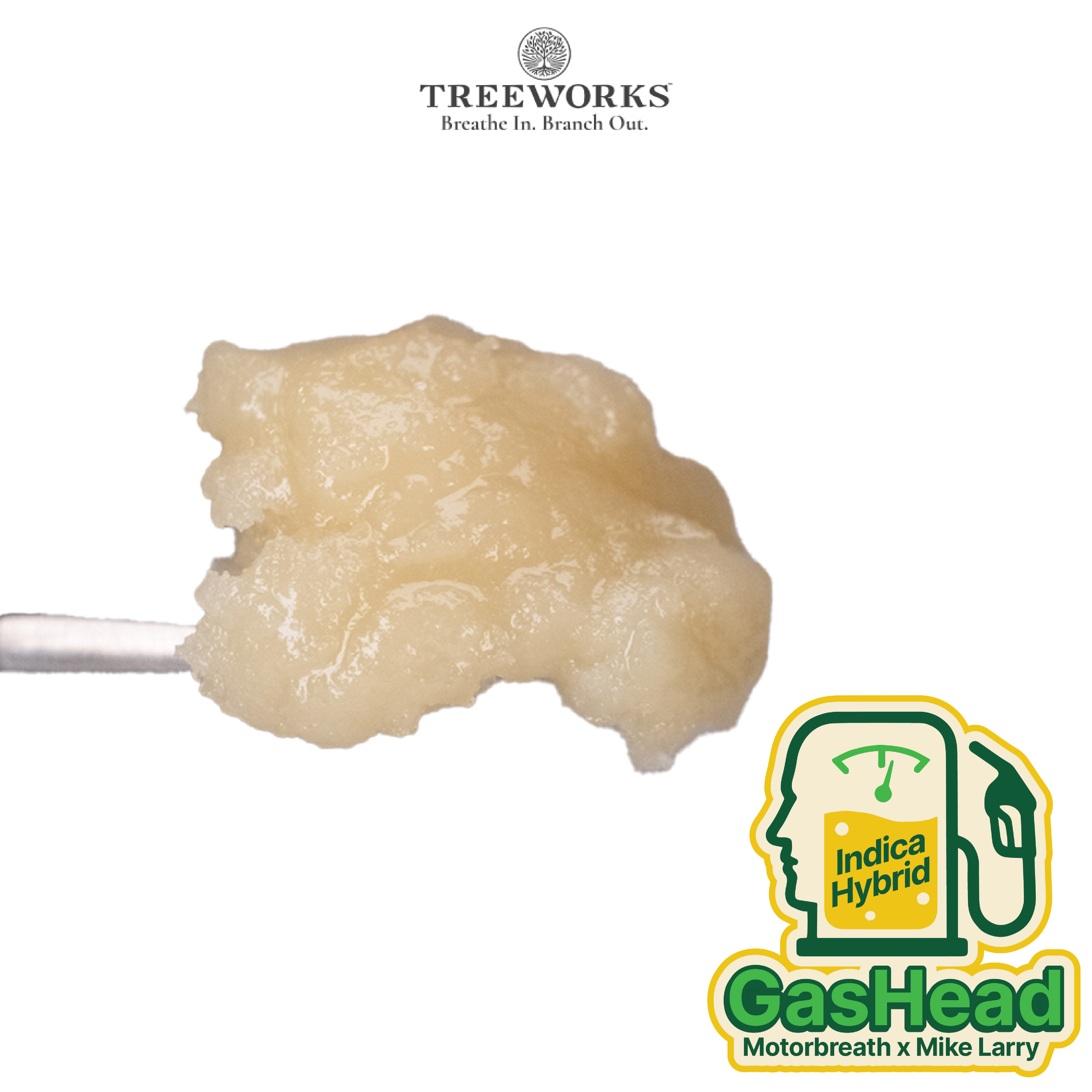GasHead | Live Rosin Cold Cure - 1 g