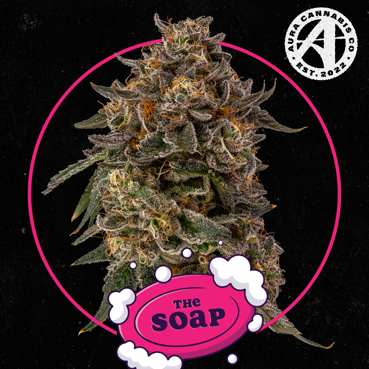 The Soap - 3.5 g