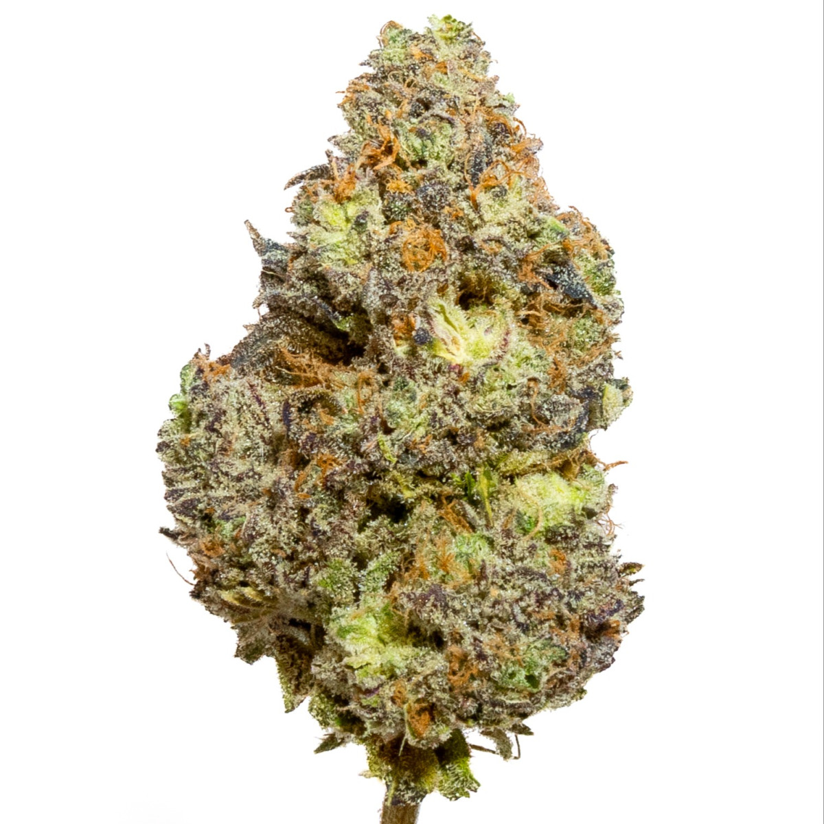 Blizzard of Oz - 3.5 g