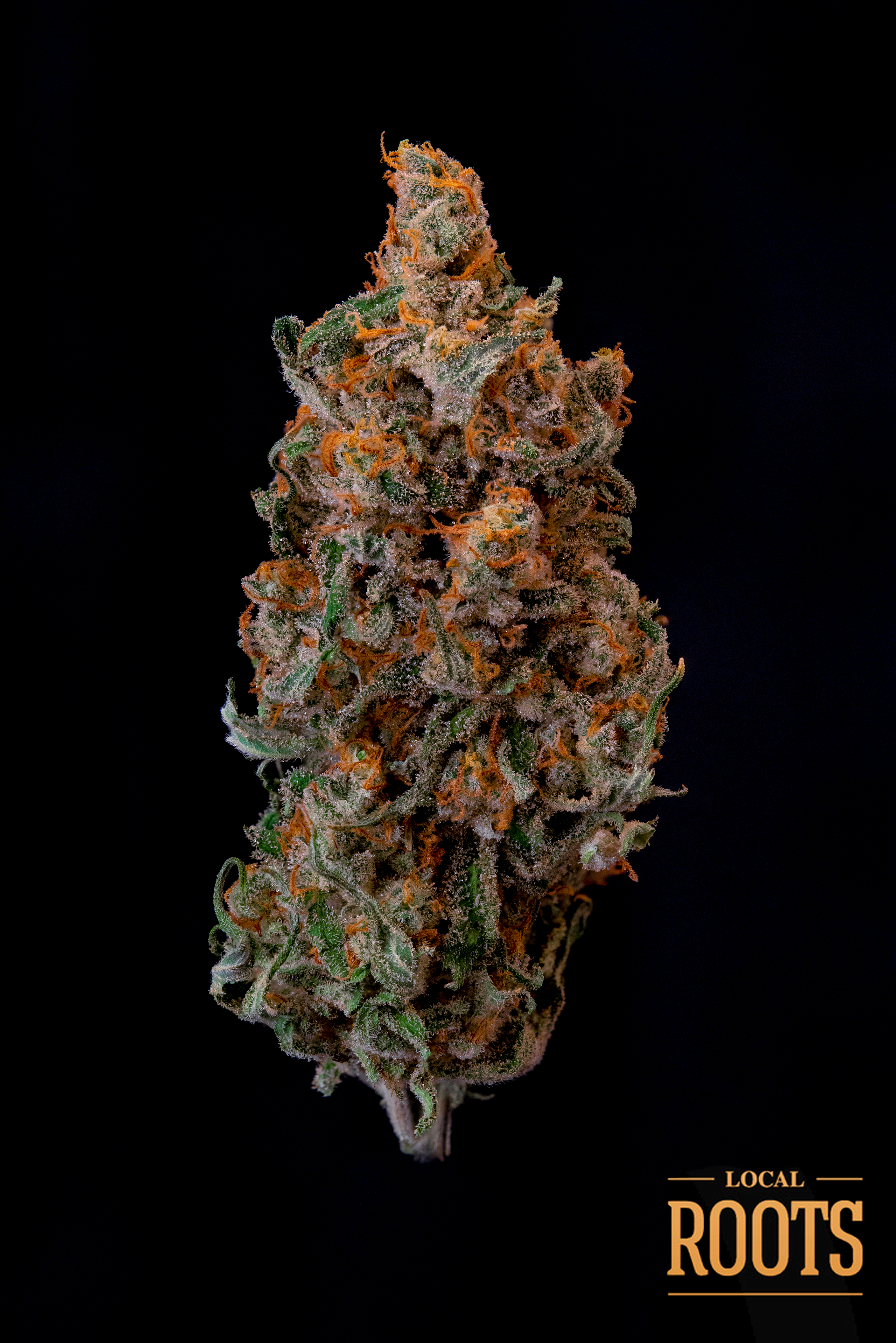 JACK SKUNK